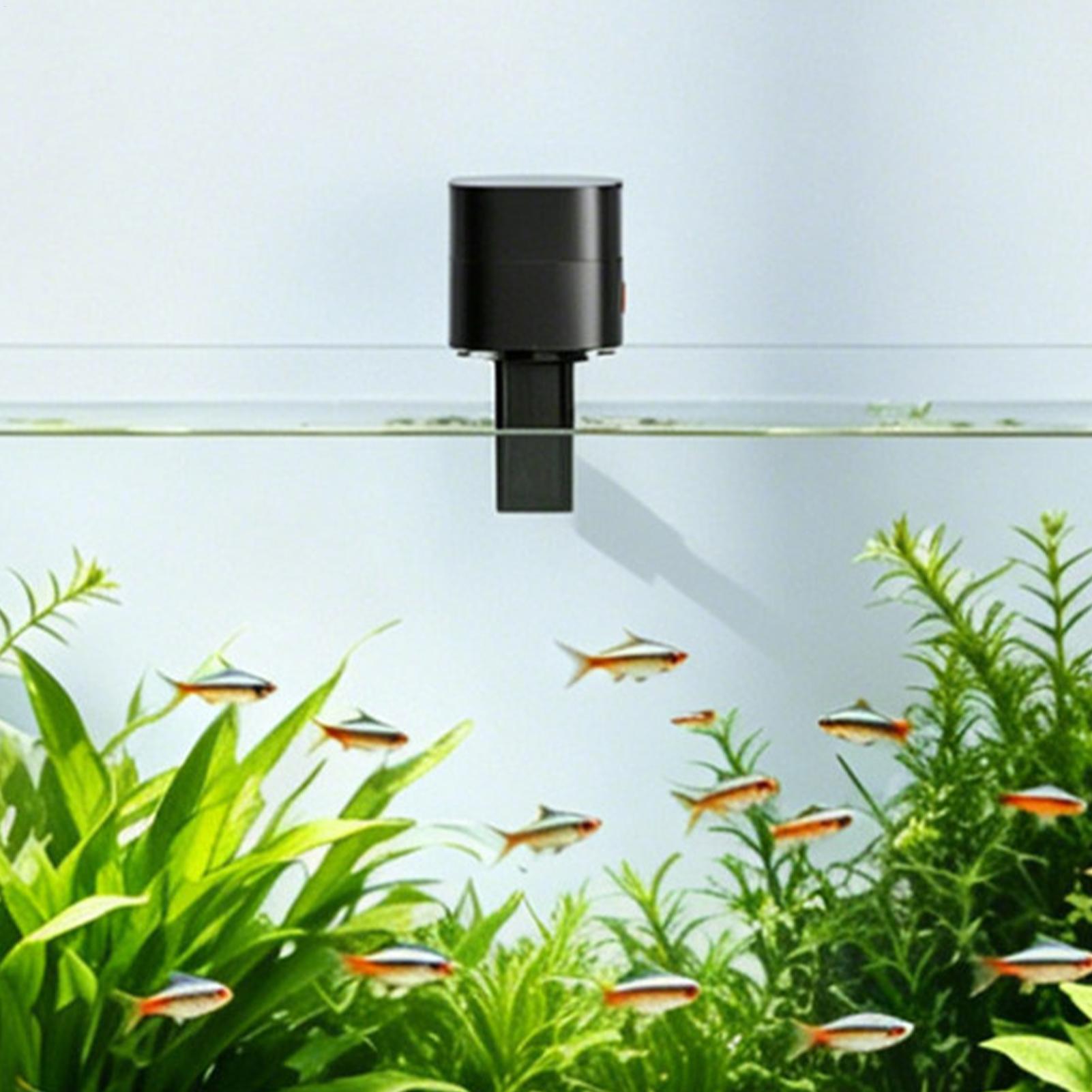Automatische visvoederautomaat - Fishing Line Dispenser recensie en prijs